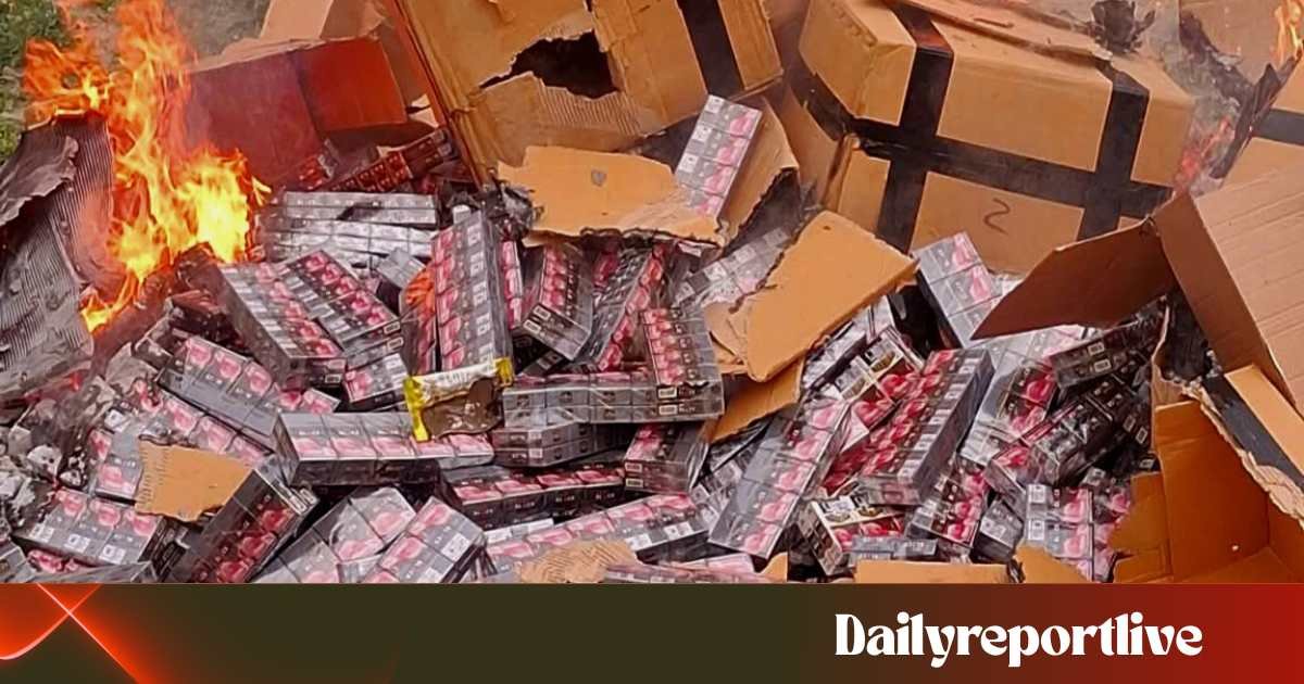 Dailyreport Live