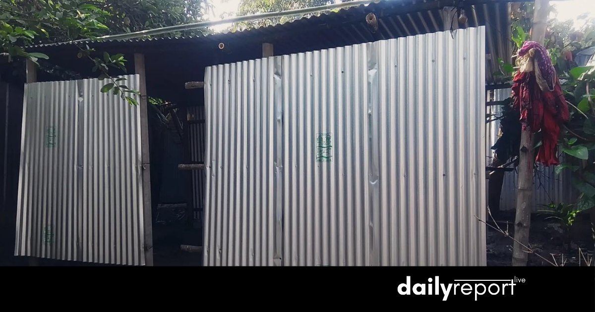 Dailyreport Live