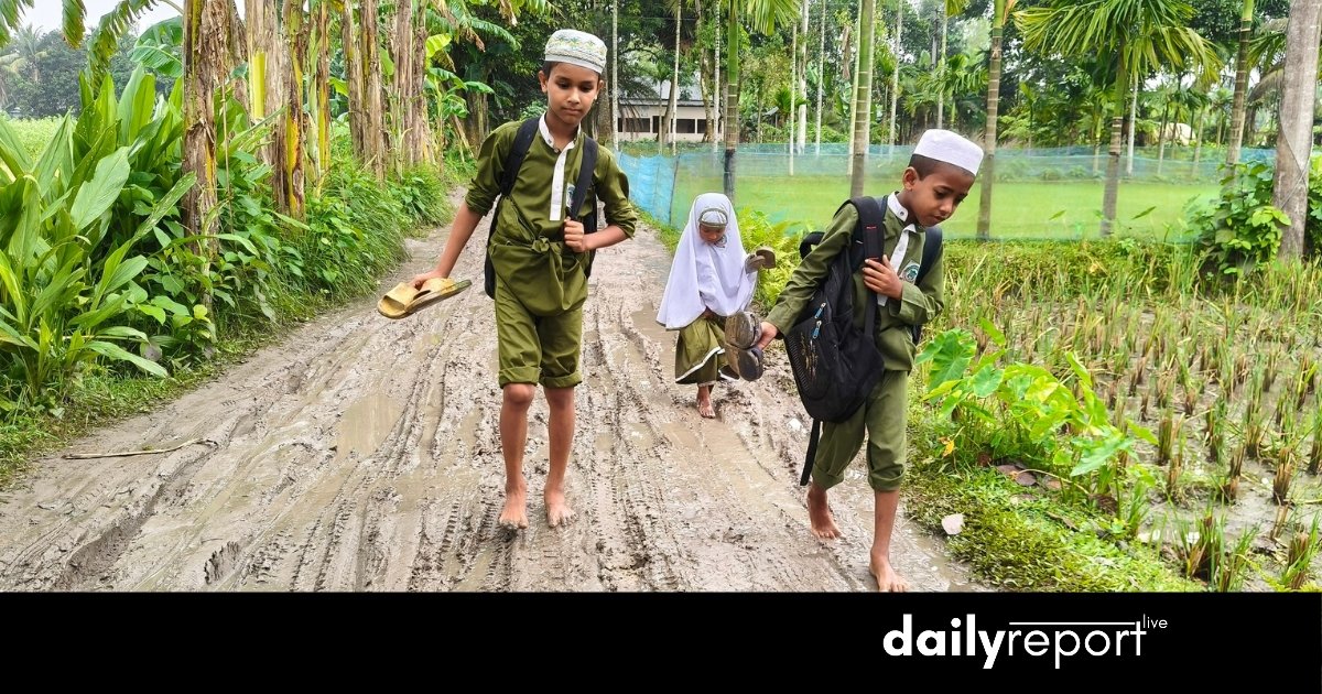 Dailyreport Live
