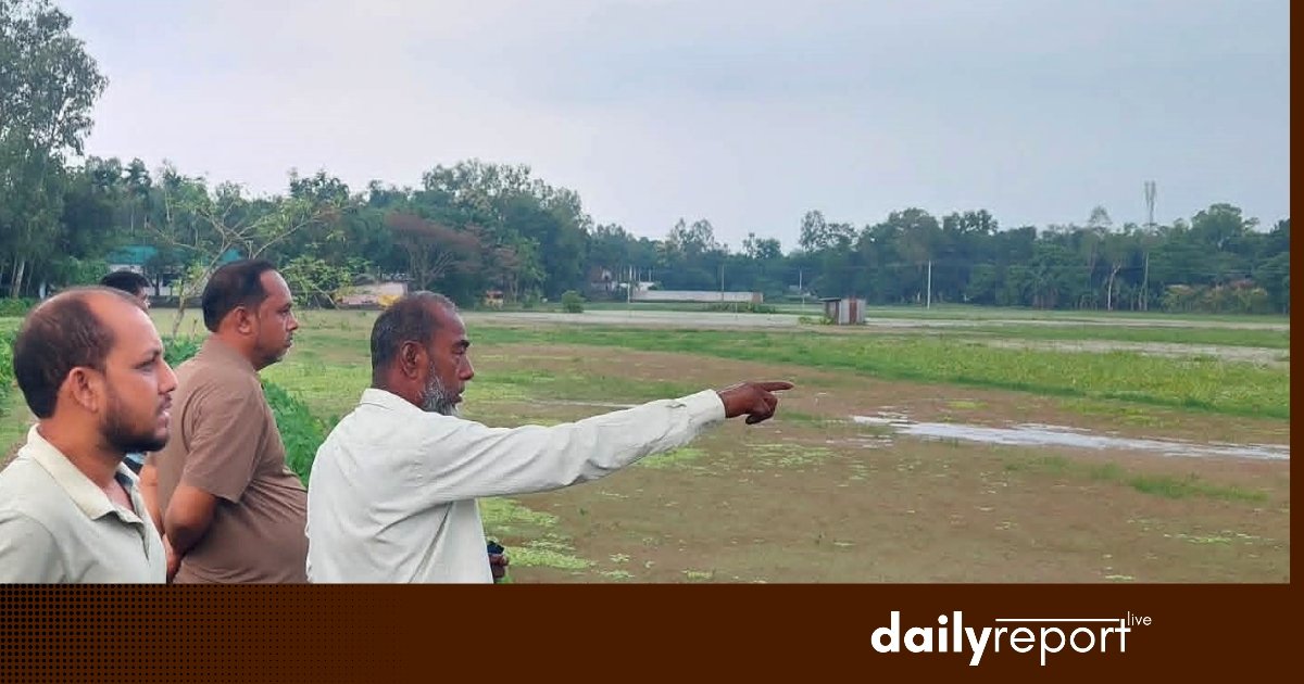 Dailyreport Live